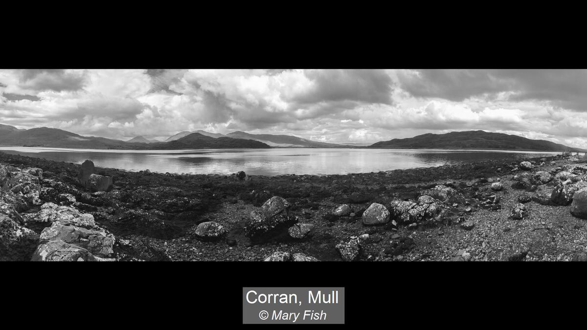 11_Corran, Mull_Mary Fish